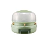 Light Green