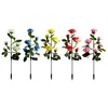 6 roses
