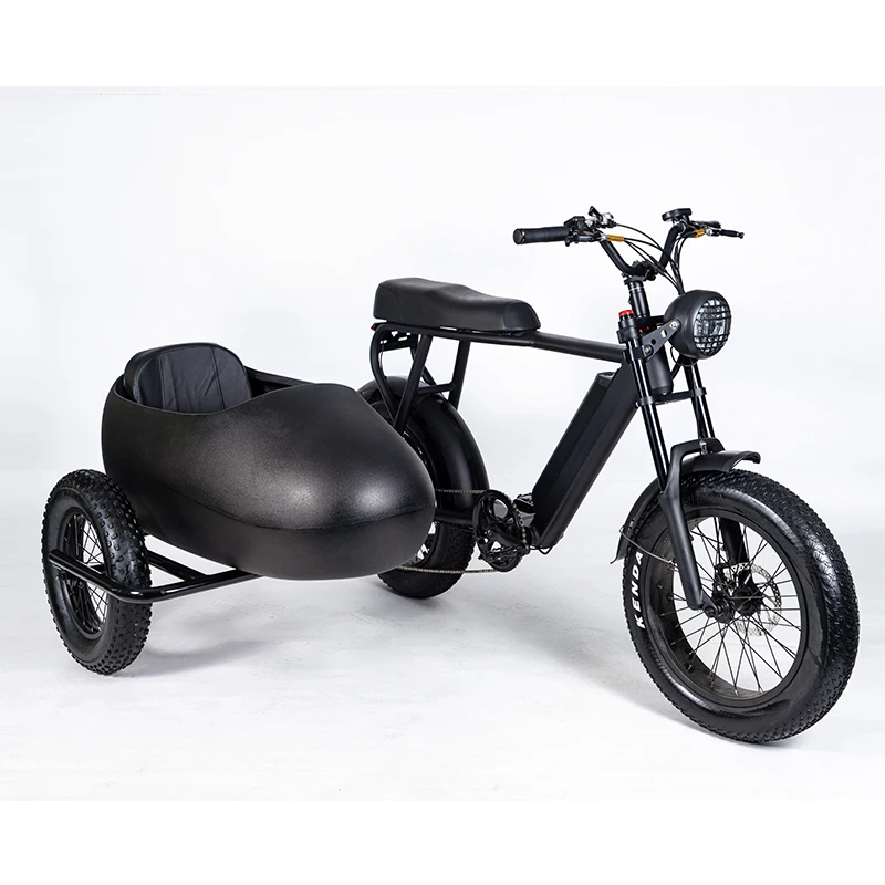 Factory Oem 3 Wheel Electric Bike Adult Electric Tricycles Sidecar,Can