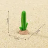 5 cactus