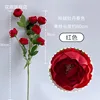 Peonía exquisita de 7 cabezas en primavera, roja