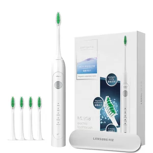 Battery Powered  Usb Vibrator Sonic Automatic Sonic Electric Toothbrush
