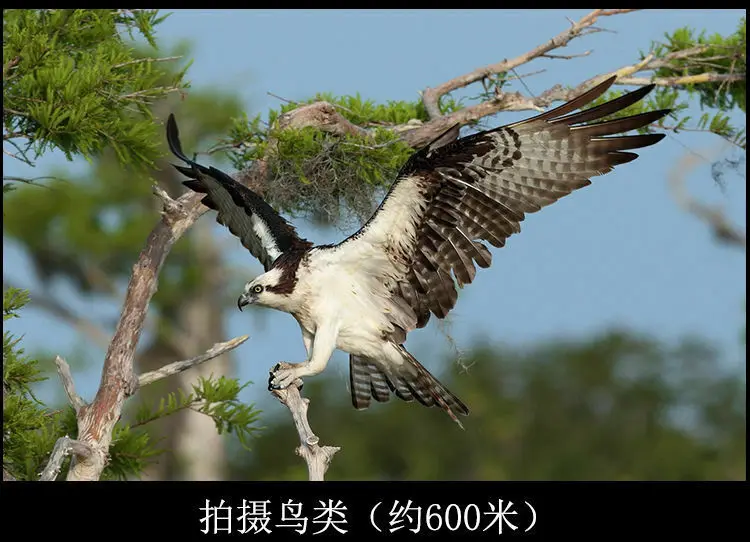 420-800mm (15)