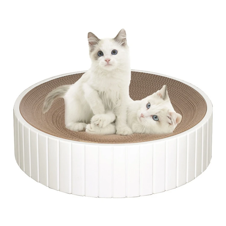 round cat toy
