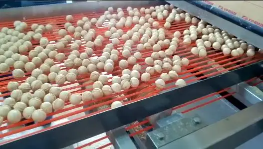 Автоматическая линия по производству шоколадных вафель для продуктов