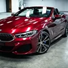 Dragon Red