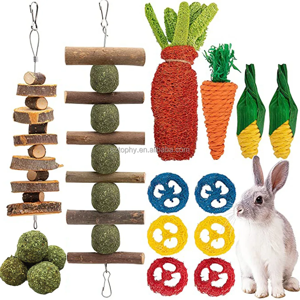 Toys for 2024 rabbits to chew