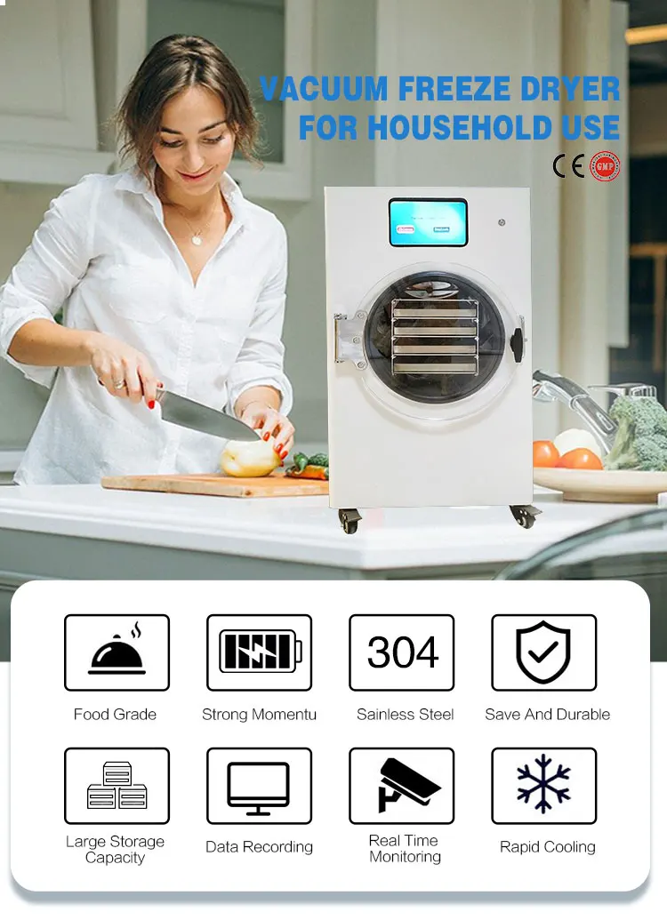 3kg 6kg 10kg Fruit Liofilizador Machine Price Small Mini Vacuum Freeze