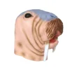 sea lion mask