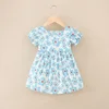 Blue flower princess dress