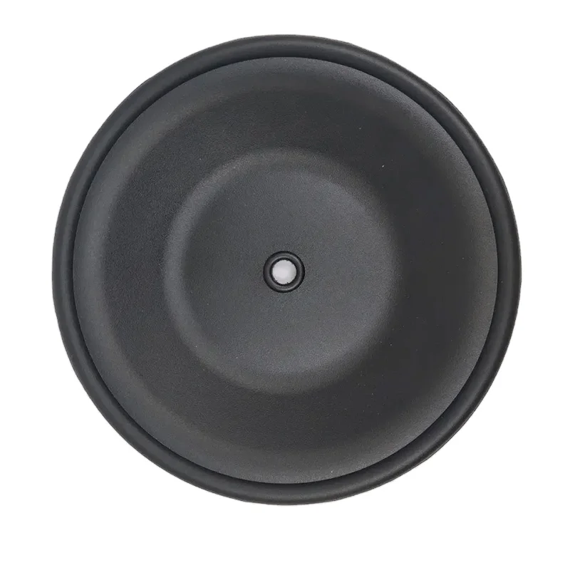 CF02-1010-53 Diaphragm