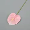 08 rosa
