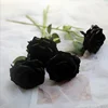 Fiore singolo nero