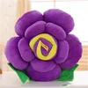Pourpre