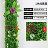 Erba Persiana Ricca (60 cm di altezza, 40 cm di larghezza)
