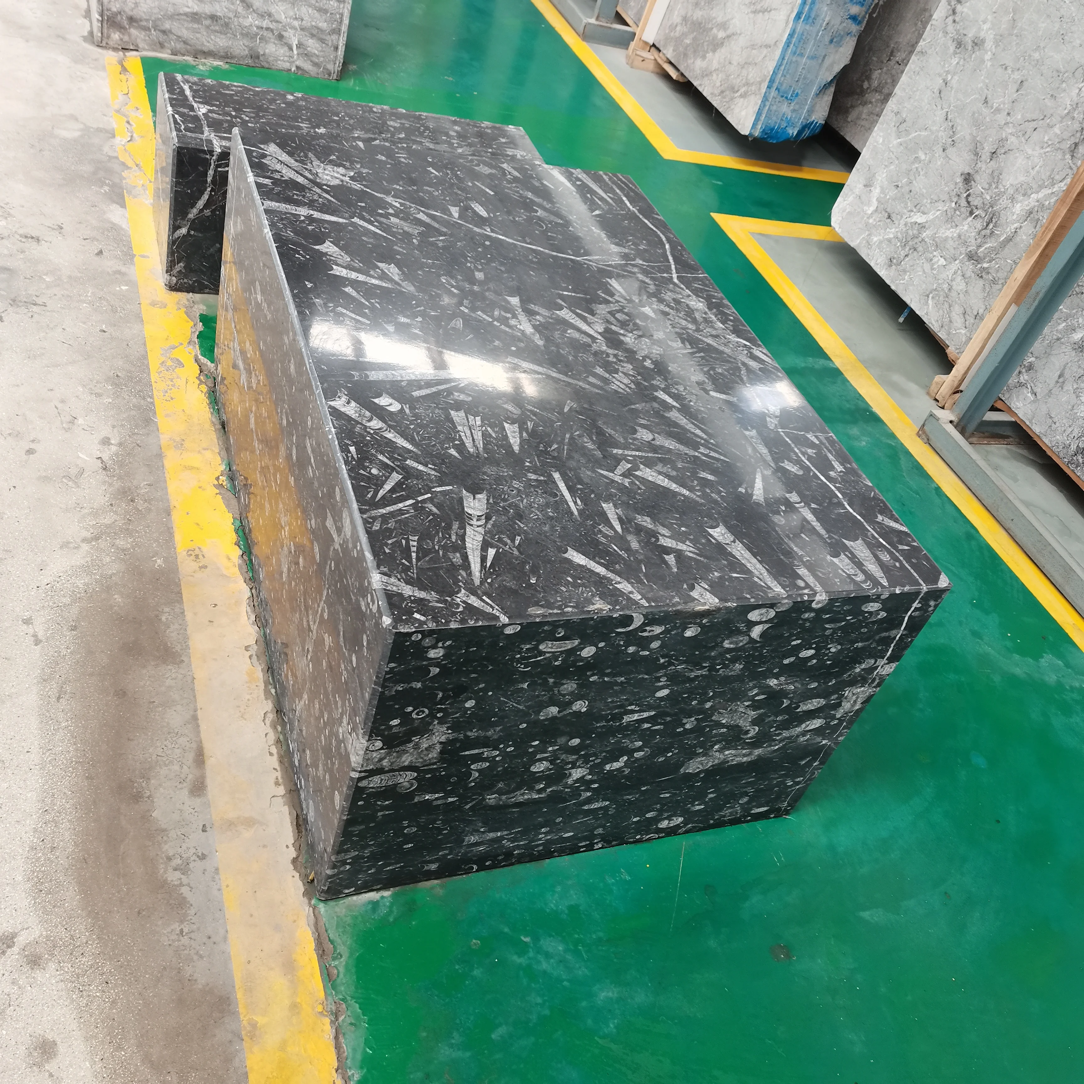 Moroccan Fossil Brown Fossil Marble