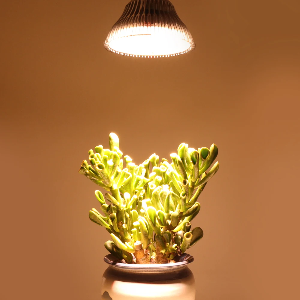 Sinjia 100w E27 36pcs Smd3030 Warm White Led Grow Light For Indoor