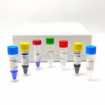 High Efficient E. Coli Chemically Competent Cell Prep Kit Most Common E. Coli Reagents