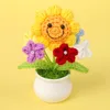Myosotis sylvatica plante en pot-4Cercle visage souriant