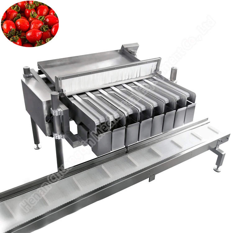 Blueberry Sorter Processing Machines Multihead Weigher Blueberry Filling Machine