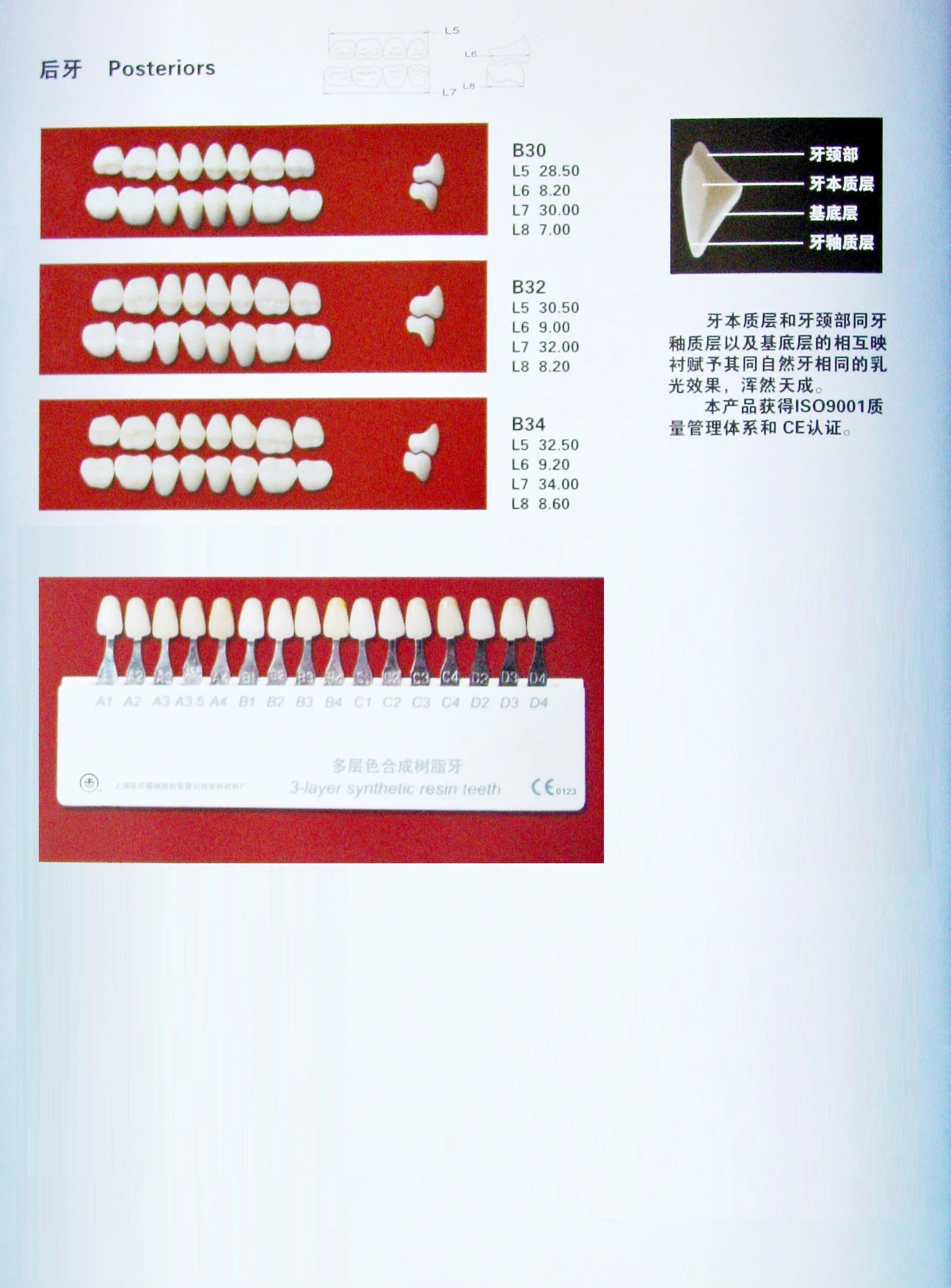 Dental  3- ply Teeth False Teeth Acrylic Resin Teeth supplier