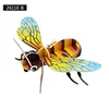 2611E-B Insecte