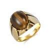 Golden Tiger's Eye
