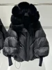 Volpe nera nera