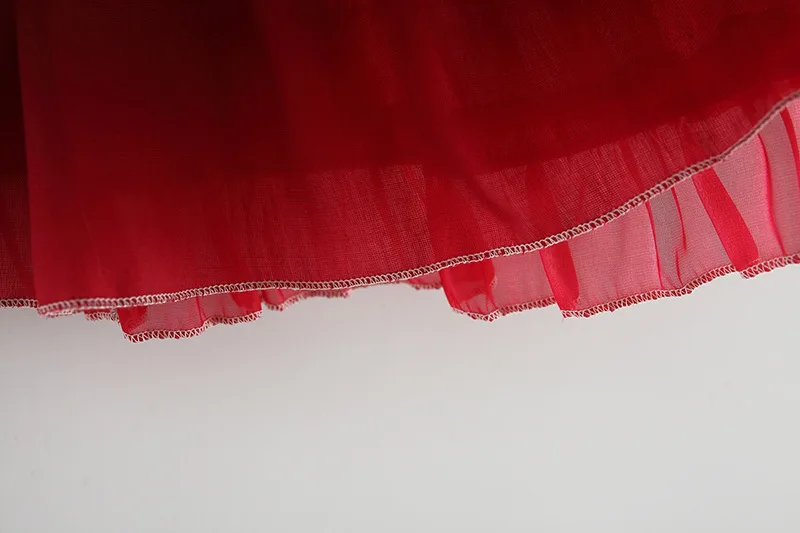 New Spring and Autumn Girls' Lace Embroidered Dress Lace Princess Skirt