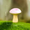 No 1-dream mushroom