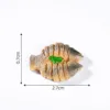 No. 3 Steamed Sea bass