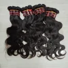Body Wave