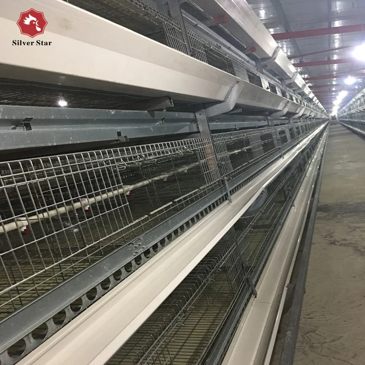 5500 Gambar Peralatan Kandang Unggas Gratis Terbaru