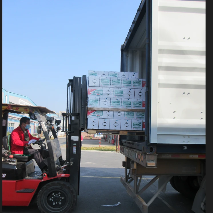 OEM Provided Auto Upholstery Sofa Multiple Stains Cleaning Spray Care Multifunctional Foam Cleaner