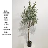 Olivo de 150 cm (versión desmontable)