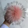 rosa 2