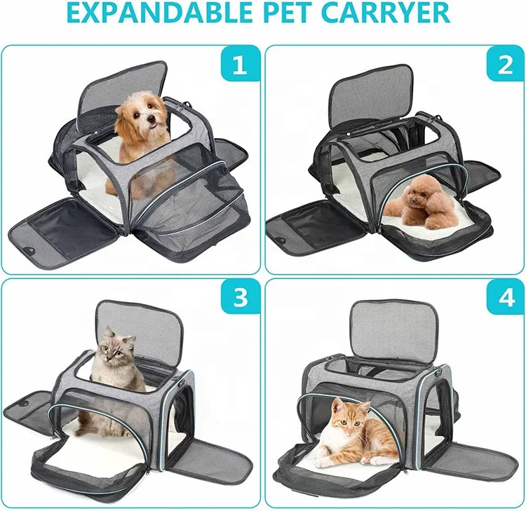 Traveler Backpack Pet Carriers For Cats And Dogs Portable Simple Pet Carrier Bag details