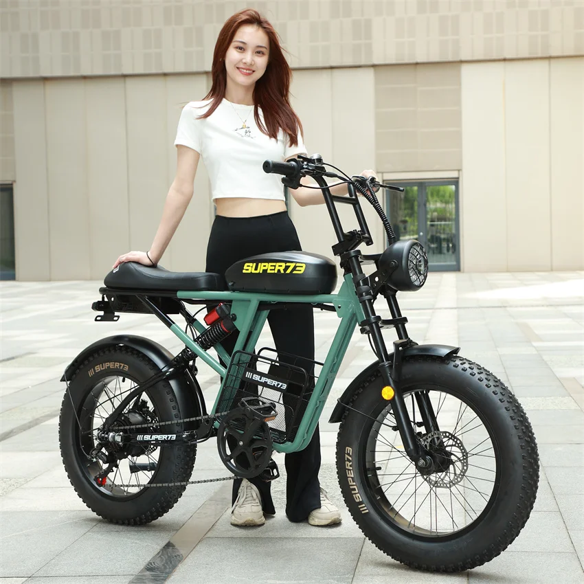 Eu Usa Warehouse Ready Stock Electric Bike 1000w 20inch Fat Tire E Bike