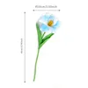 Light blue flowering tulips