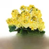 6 # Yellow [Original Version/24H Shipping]