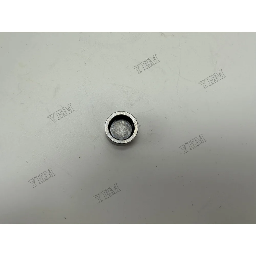 3000424302 Valve Cap for Mitsubishi S12H Engine Repair Kit