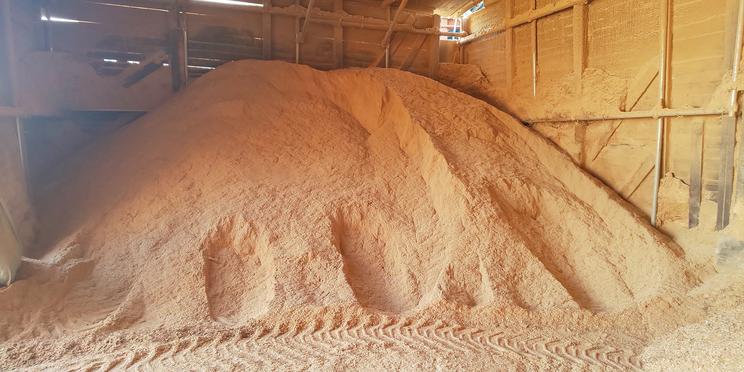 Japan Cedar Cypress Conifer Mix Compressed Wood Sawdust Granulated Buy Trade Buy Buy Sawdust
