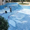 murale della piscina (14)