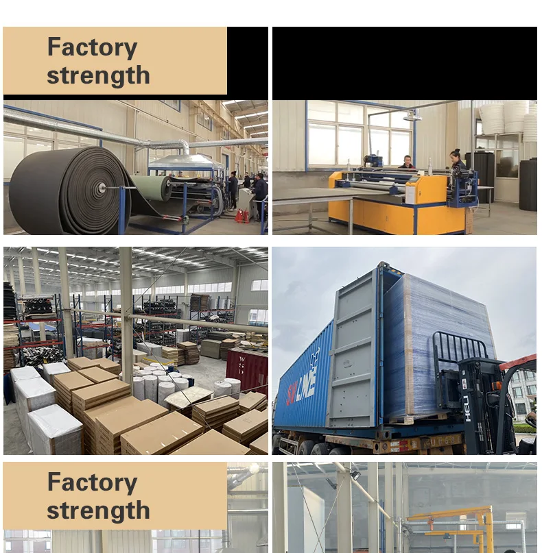 2023 Hot Selling Xpe Roll Out Bjj Mats Cheap Martial Arts Wushu Mat Tatami For Gymnastics Mma