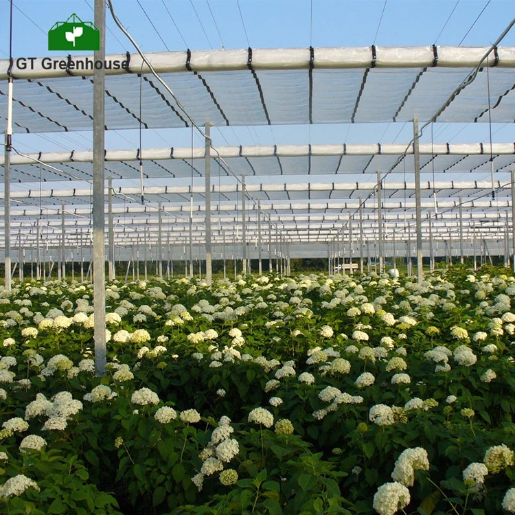 GT HDPE Plastic Film Tree Green House Retractable Greenhouses for Tree Nursery