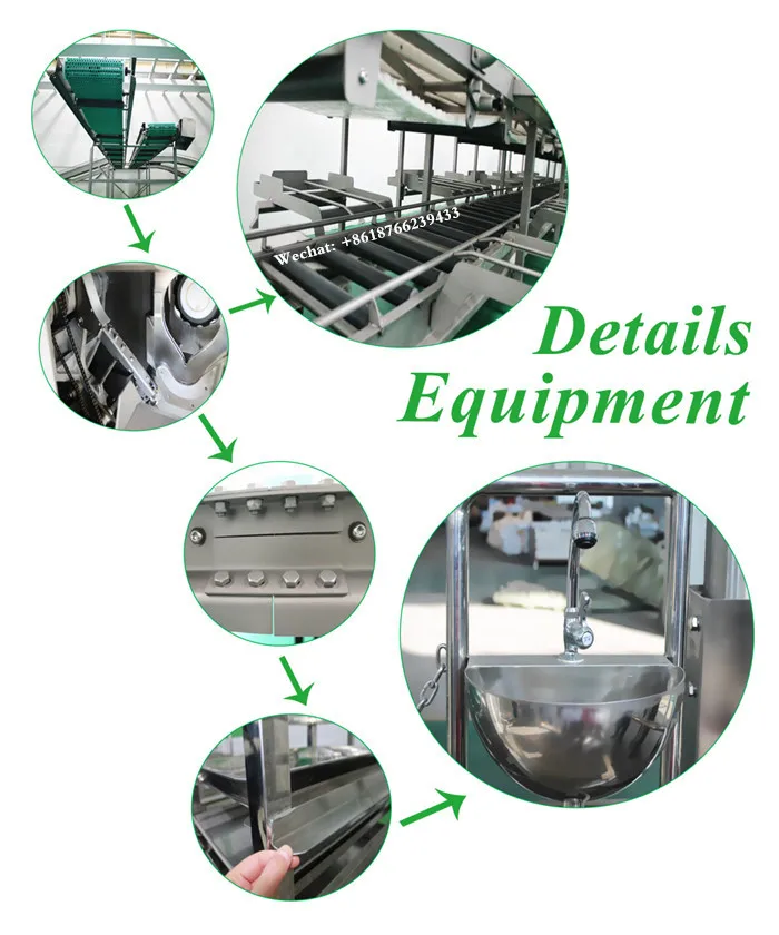 Sheep slaughterhouse plants 100 goat meat slaughterhouses per day