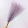 Lilas violet