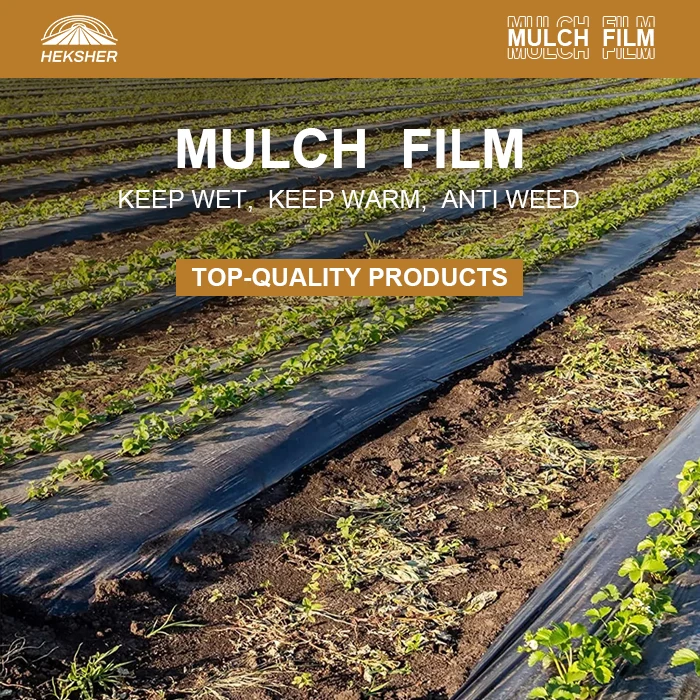 Biodegradable Plastic Mulch Film Agricultural Mulch Ground Cover With ...