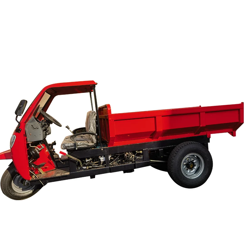 Low Fuel Consumption 2 Ton Three Wheel Cargo Motorcycle Diesel Tricycle with Monocoque Cab for Sale