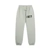Light Green pant